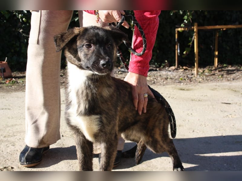 LOTTA - neugierig auf ihre liebevolle "Für-immer-Familie"