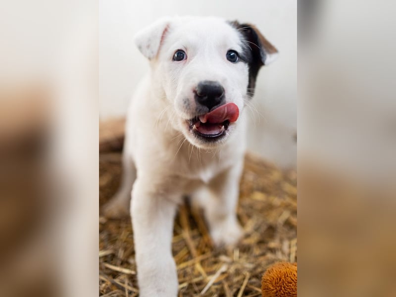 GARLIC - voller Liebe und Lebensfreude