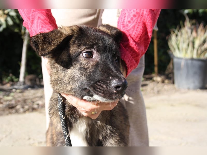 LOTTA - neugierig auf ihre liebevolle "Für-immer-Familie"