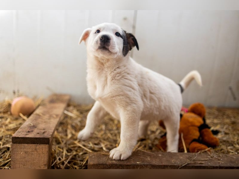 GARLIC - voller Liebe und Lebensfreude