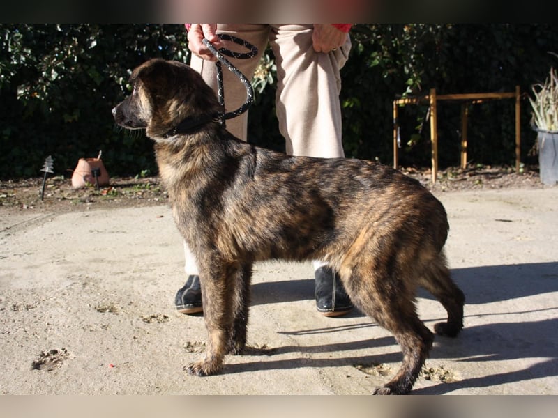 LOTTA - neugierig auf ihre liebevolle "Für-immer-Familie"