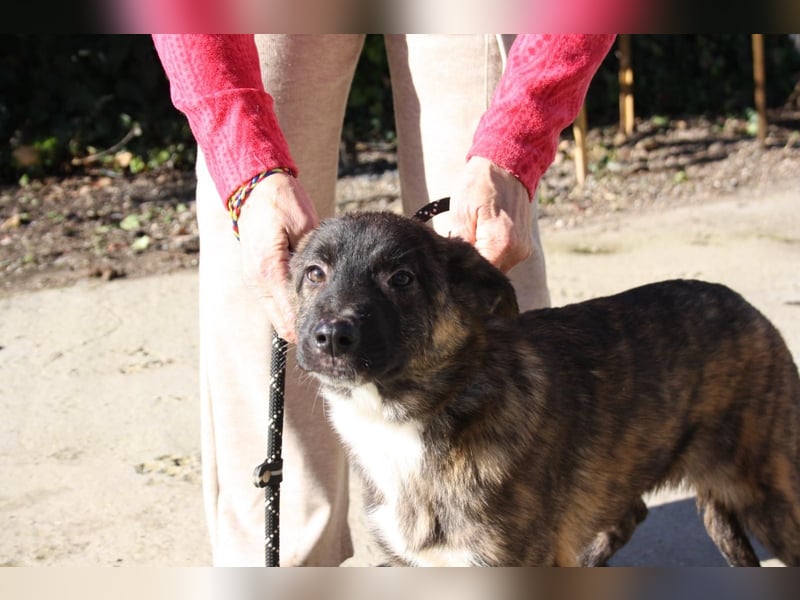 LOTTA - neugierig auf ihre liebevolle "Für-immer-Familie"