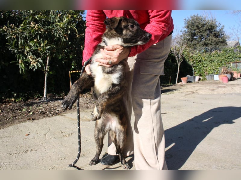 LOTTA - neugierig auf ihre liebevolle "Für-immer-Familie"