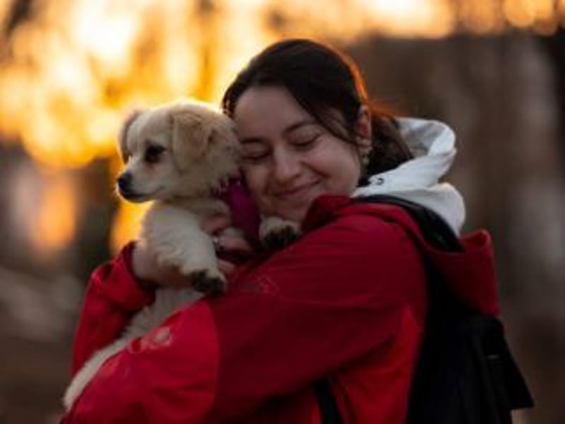 KIBA-ist verspielt und verschmust… ach, sie ist einfach zum Verlieben