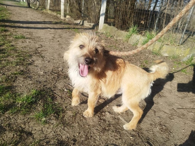 Titi kam verletzt ins Tierheim und hat sich prima erholt !
