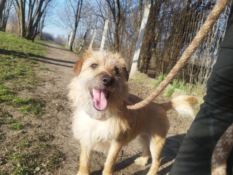 Titi kam verletzt ins Tierheim und hat sich prima erholt !