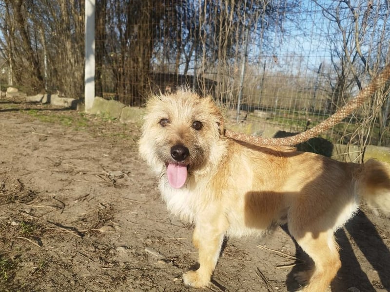 Titi kam verletzt ins Tierheim und hat sich prima erholt !