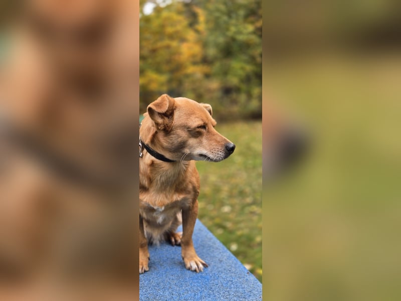 Wendy sucht ein neues Wendy sucht ein neues