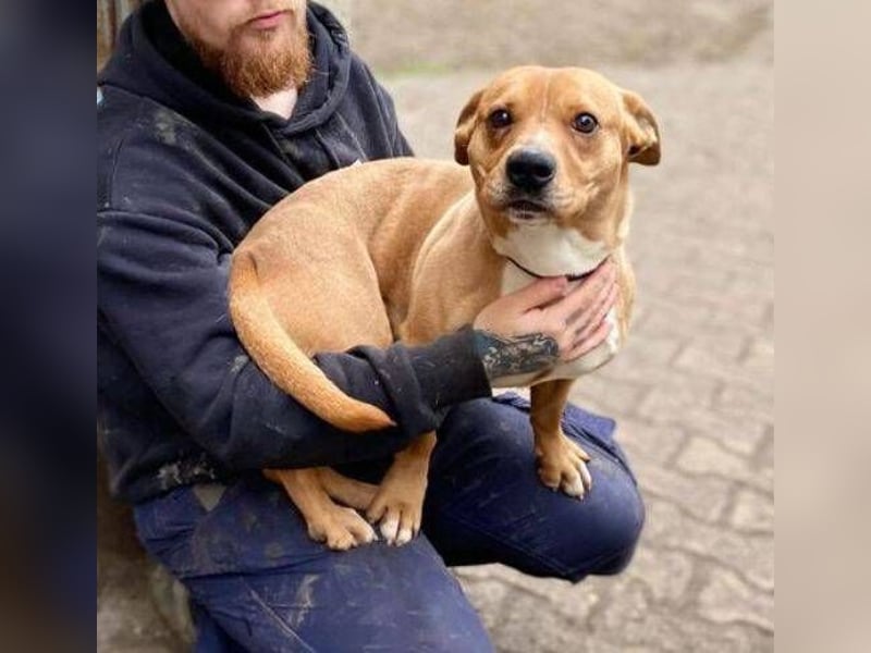 WINSTON ist ein herziger Kerl