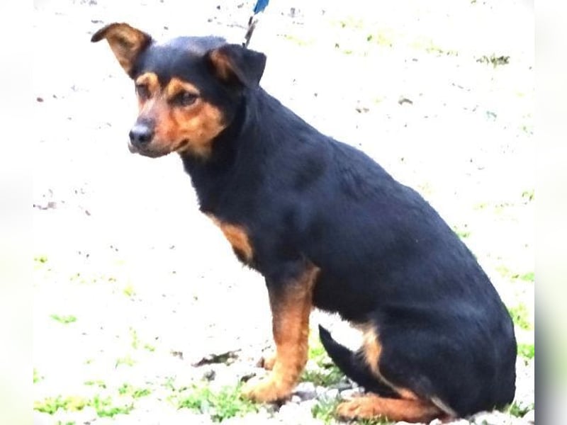 FLOCKY ist der Liebling aller