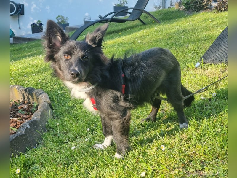 Limo möchte endlich ankommen...