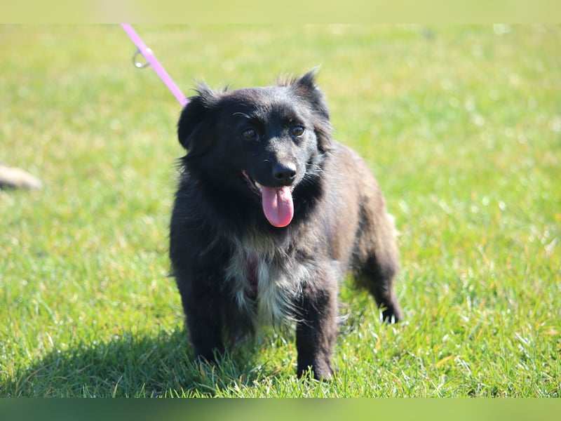 Tajna - auf der Suche nach Geborgenheit