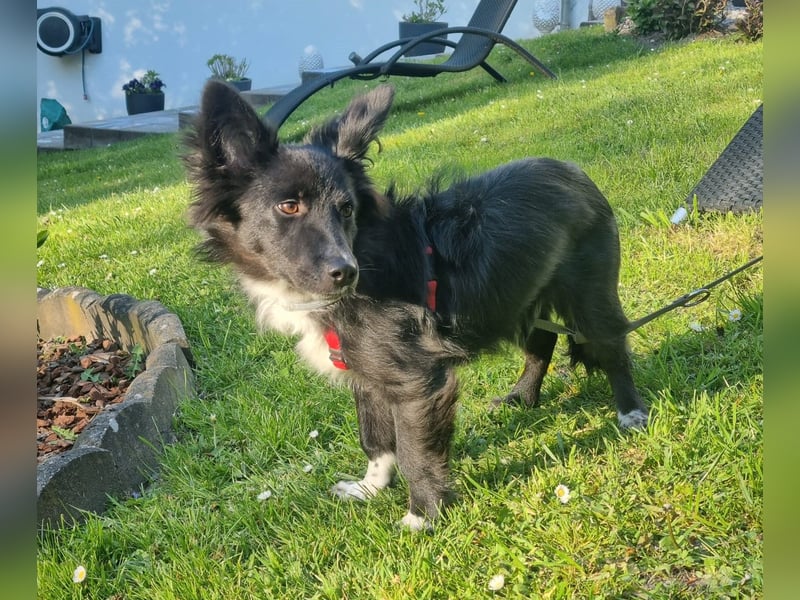 Limo möchte endlich ankommen...