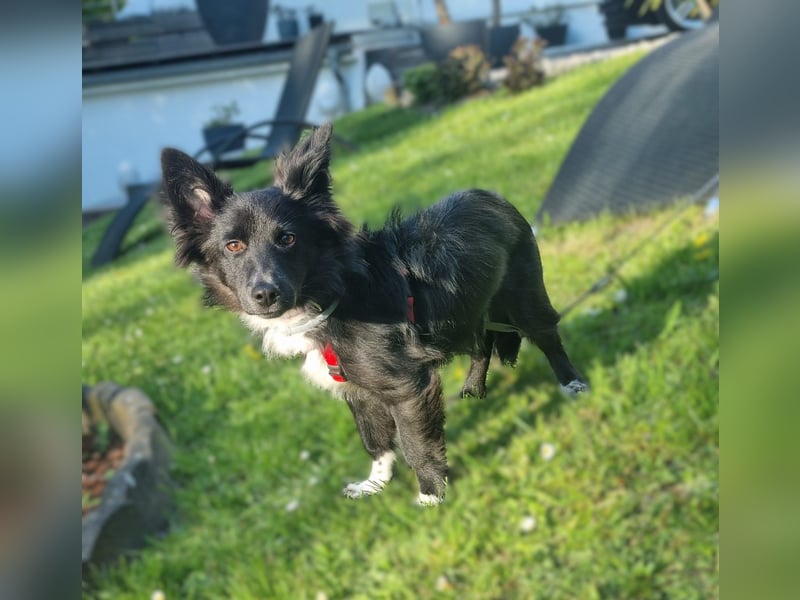 Limo möchte endlich ankommen...