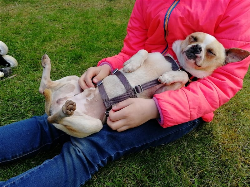 Minis im Doppelpack suchen ihr Glück