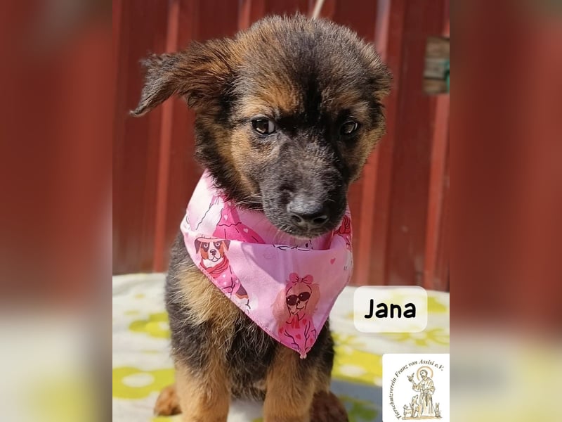 Jana – Wenn nicht jetzt, wann dann!