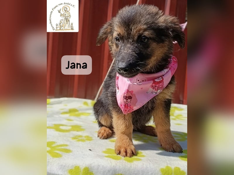 Jana – Wenn nicht jetzt, wann dann!