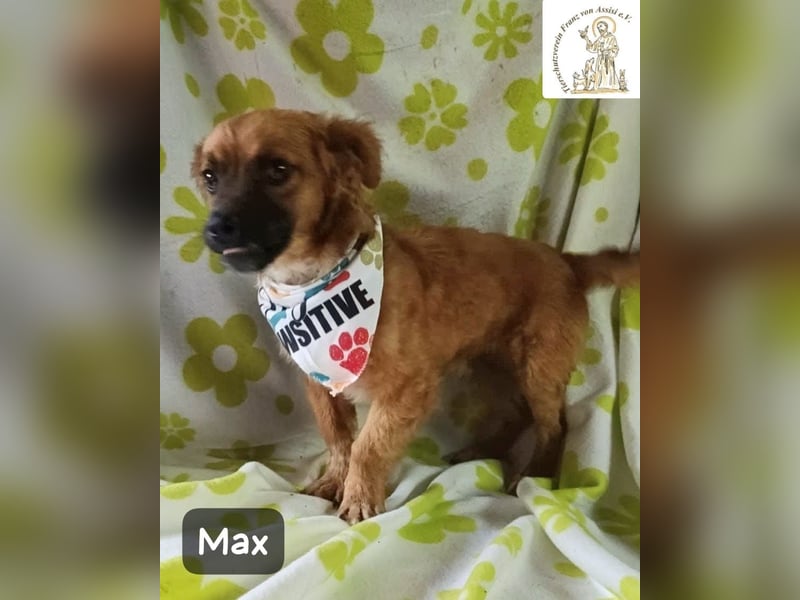 Max – Das Leben wartet. Worauf eigentlich noch!