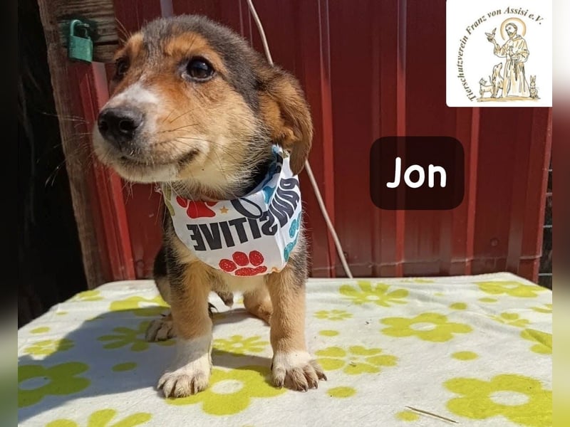 Jon – Kleine Pfoten, große Pläne und ein Herz voller Neugier!