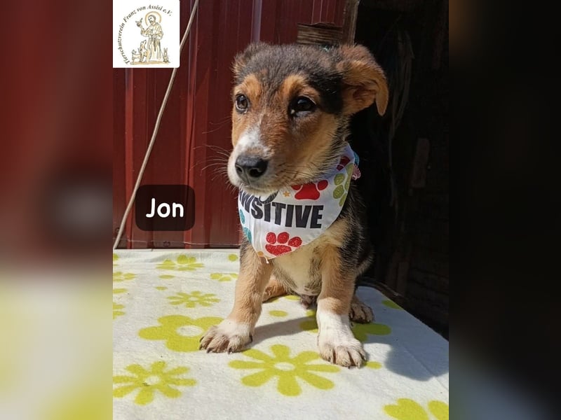 Jon – Kleine Pfoten, große Pläne und ein Herz voller Neugier!