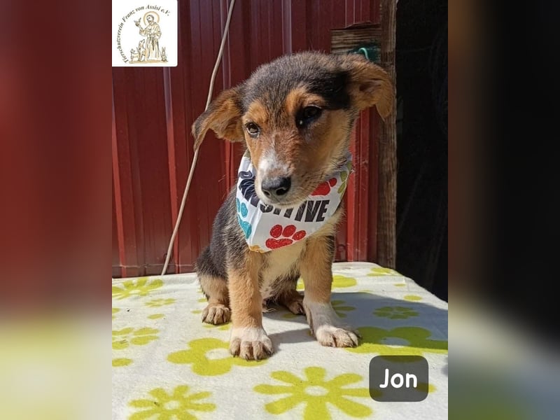 Jon – Kleine Pfoten, große Pläne und ein Herz voller Neugier!