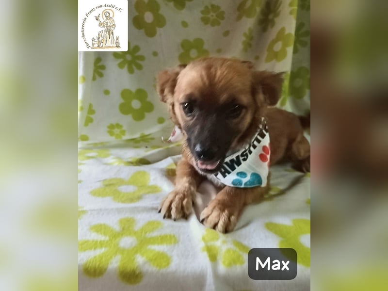 Max – Das Leben wartet. Worauf eigentlich noch!