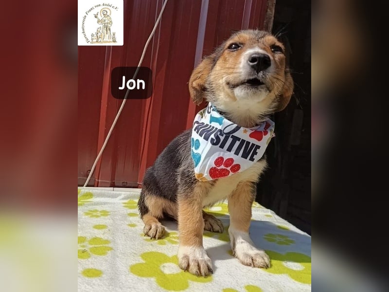 Jon – Kleine Pfoten, große Pläne und ein Herz voller Neugier!