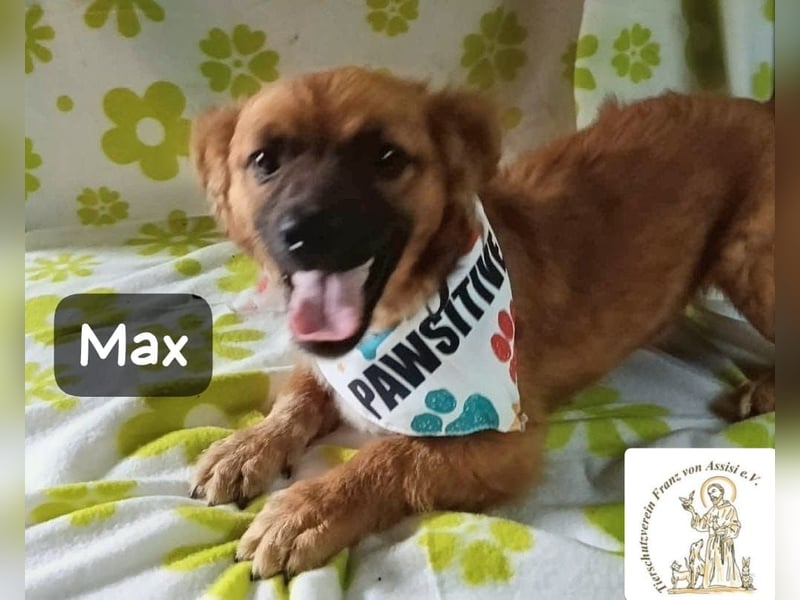 Max – Das Leben wartet. Worauf eigentlich noch!
