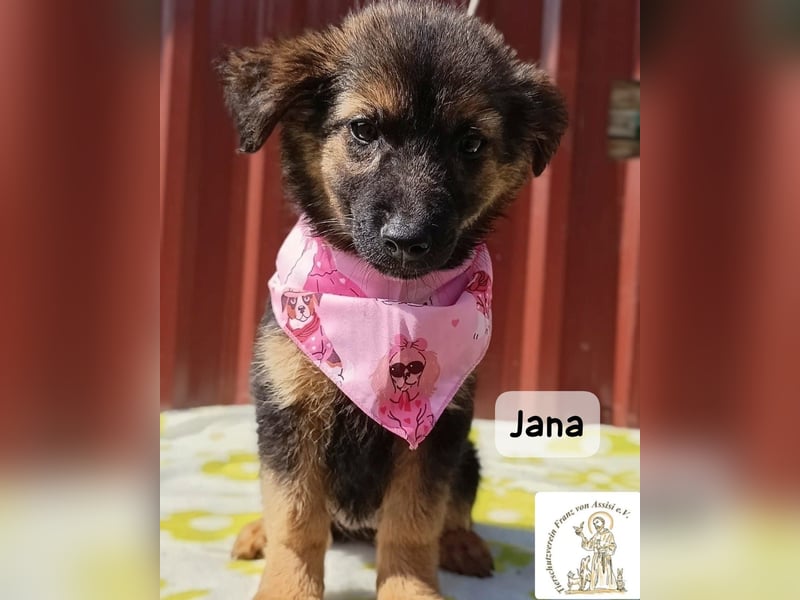 Jana – Wenn nicht jetzt, wann dann!