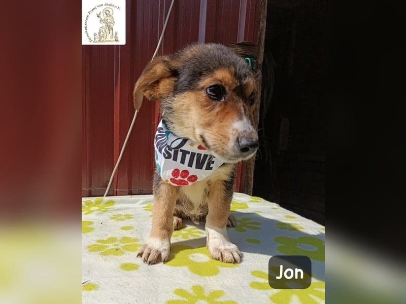 Jon – Kleine Pfoten, große Pläne und ein Herz voller Neugier!
