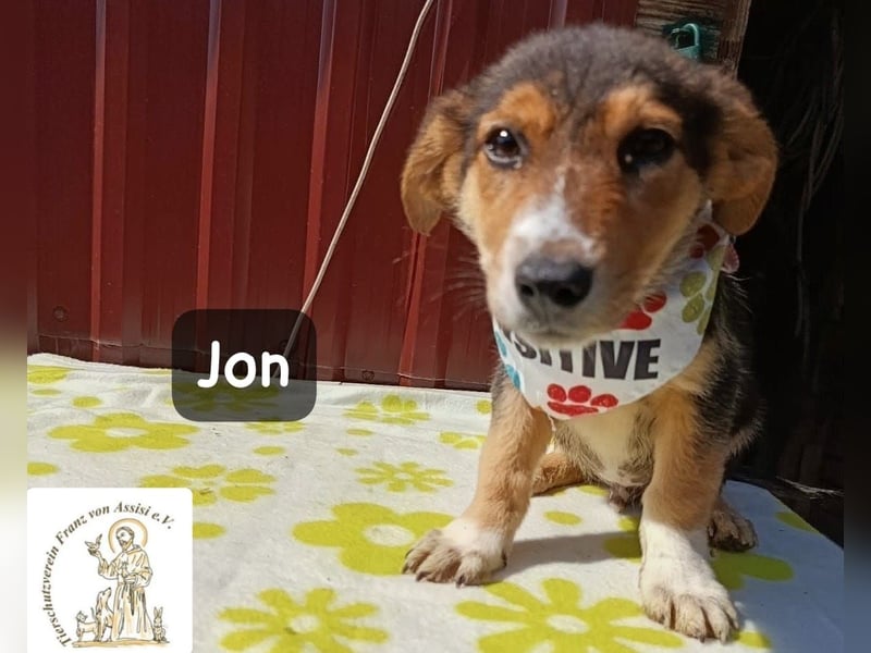 Jon – Kleine Pfoten, große Pläne und ein Herz voller Neugier!
