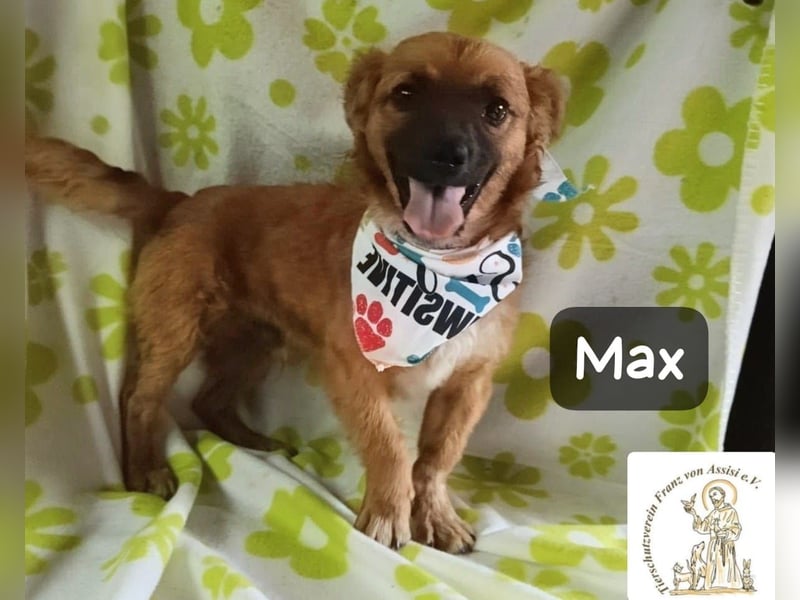 Max – Das Leben wartet. Worauf eigentlich noch!