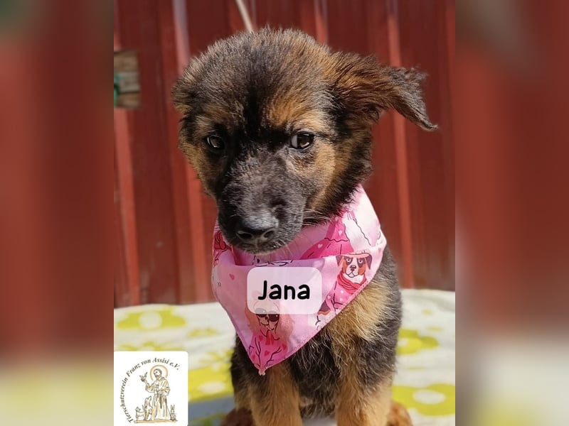 Jana – Wenn nicht jetzt, wann dann!