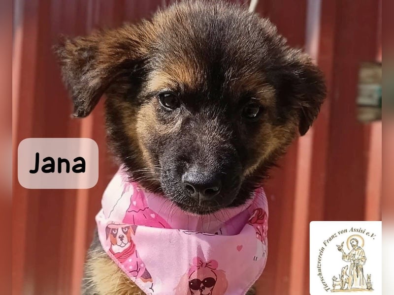 Jana – Wenn nicht jetzt, wann dann!