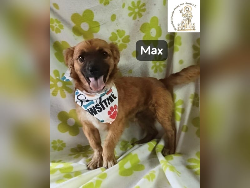 Max – Das Leben wartet. Worauf eigentlich noch!