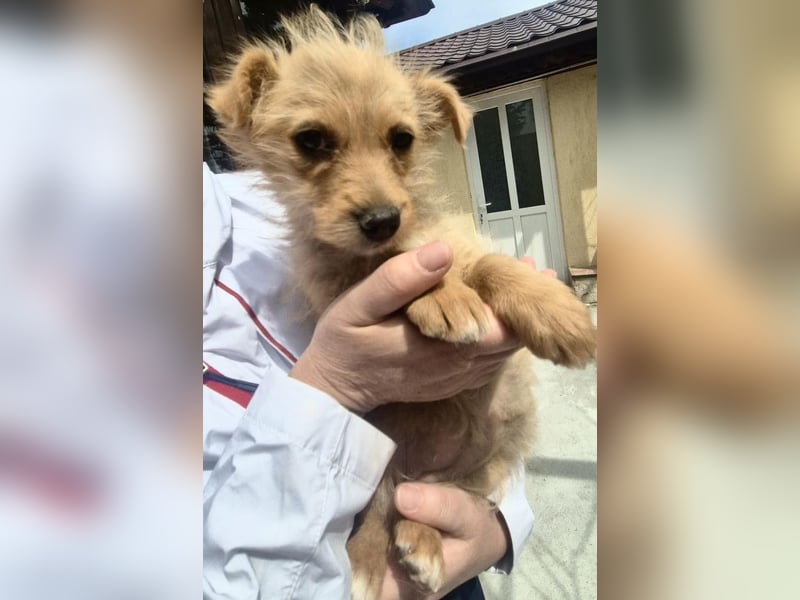 Polly ist bereit für ihr Abenteuer