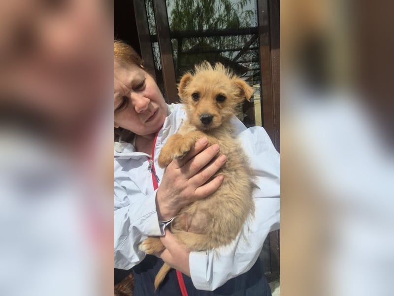 Polly ist bereit für ihr Abenteuer