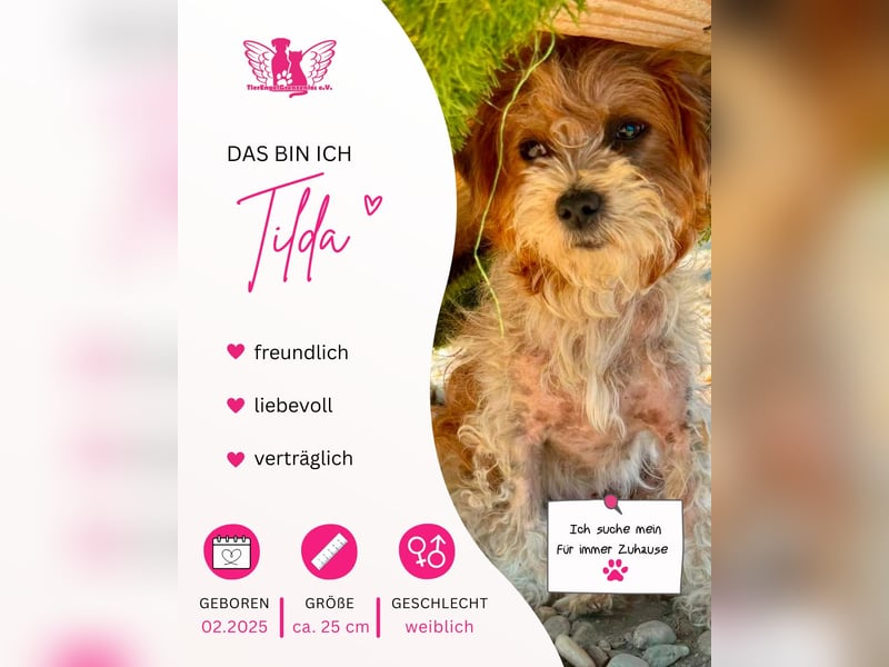 Kleine Tilda, ganz großes Herz