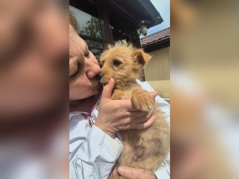Polly ist bereit für ihr Abenteuer