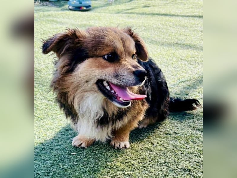 Mini Mäuschen Stella