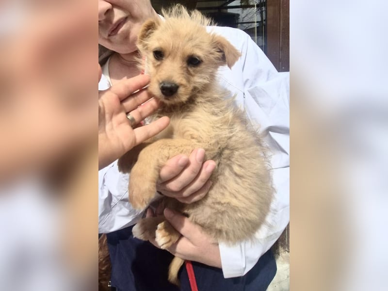 Polly ist bereit für ihr Abenteuer
