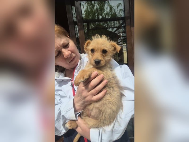 Polly ist bereit für ihr Abenteuer