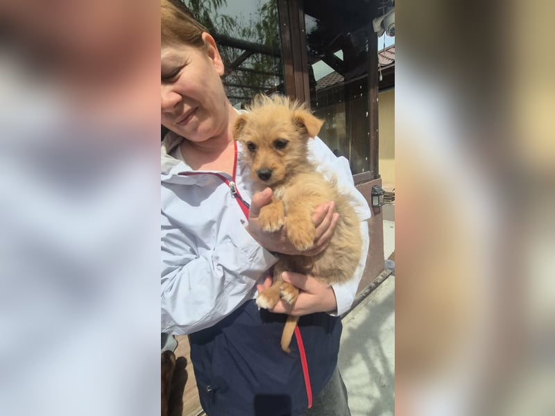 Polly ist bereit für ihr Abenteuer