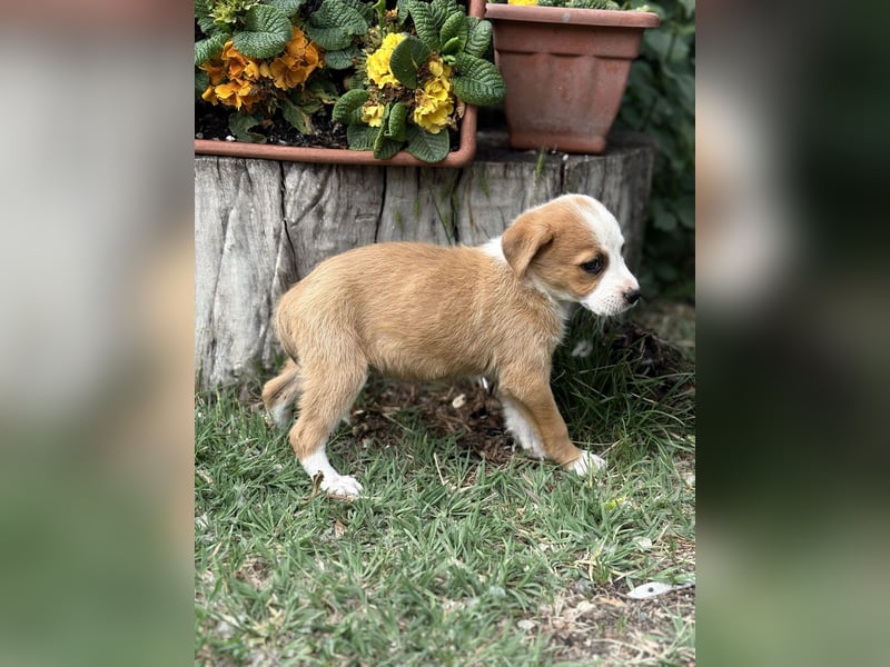 Olivi sucht ihre allererste Familie
