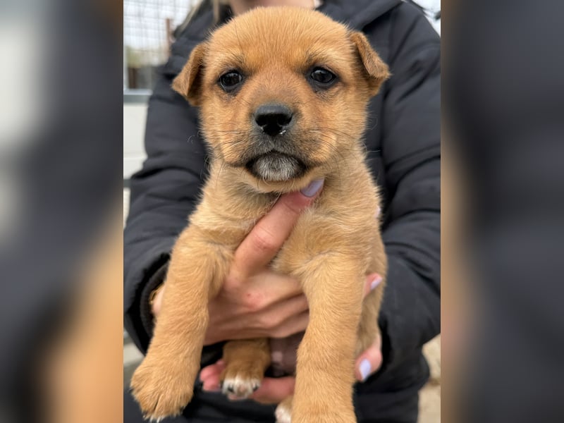 Fila zaubert dir ein Lächeln ins Gesicht