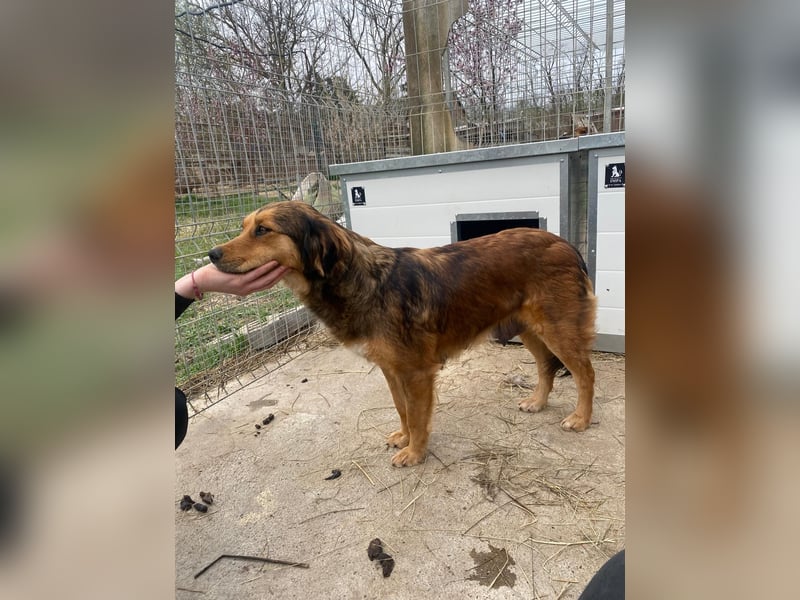 Flora wartet auf einen Neuanfang