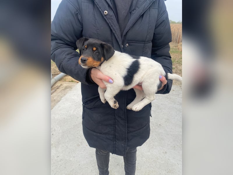 Eliza bringt die Sonne mit