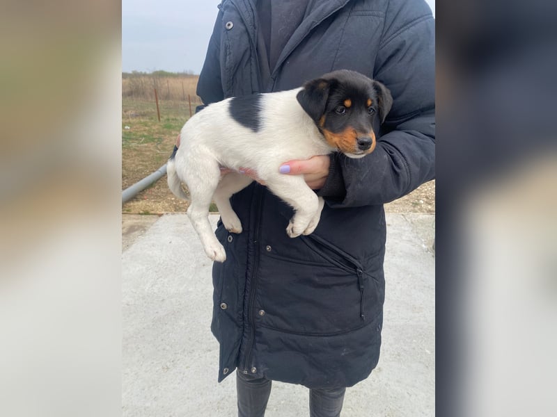 Eliza wartet auf ihr großes Glück