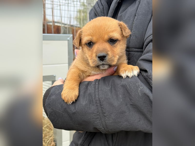Fila zaubert dir ein Lächeln ins Gesicht