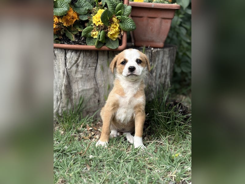 Olivi sucht ihre allererste Familie